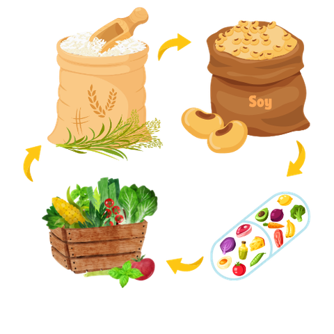 Illustration of the rice pilaf ingredients: rice, soy, vitamins, and vegetables